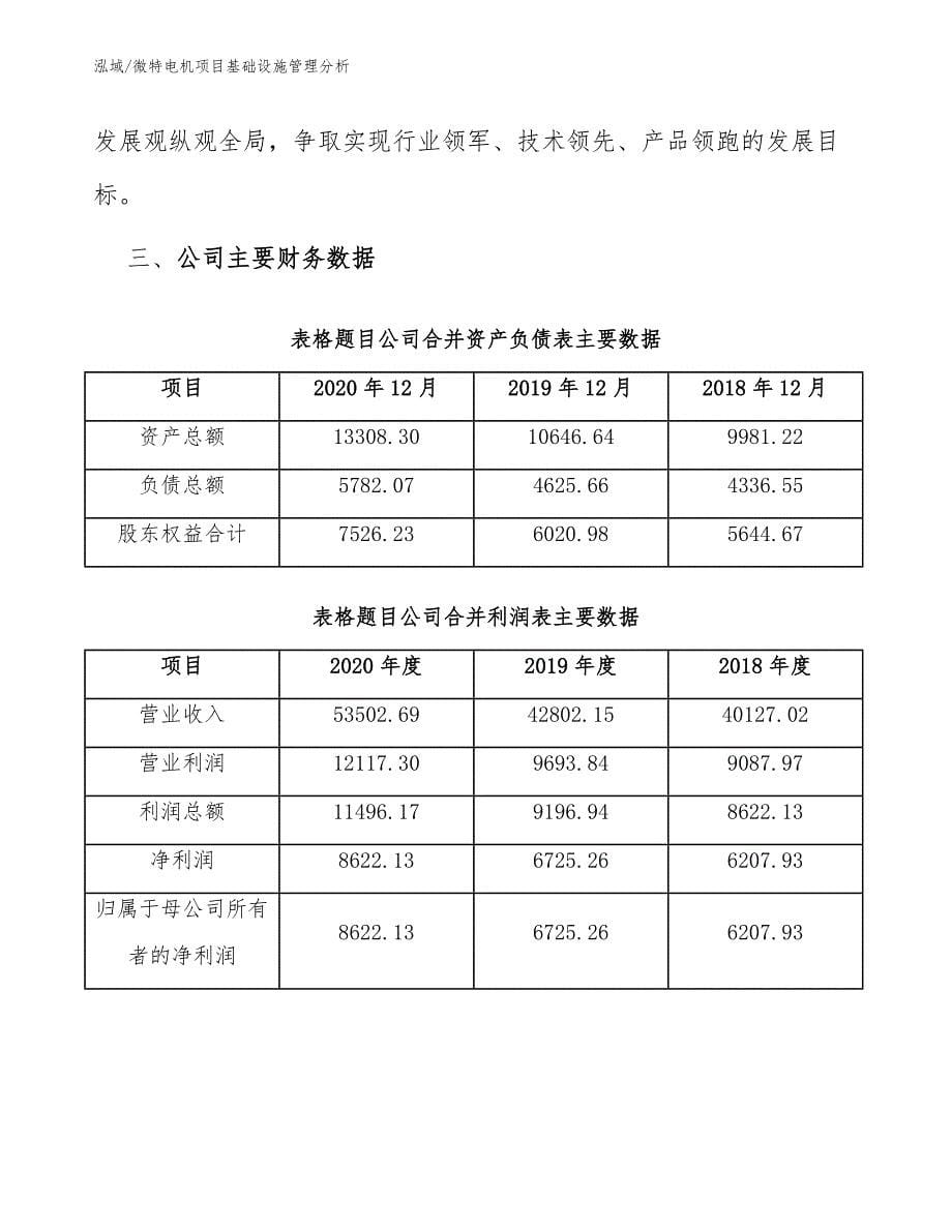 微特电机项目基础设施管理分析（范文）_第5页