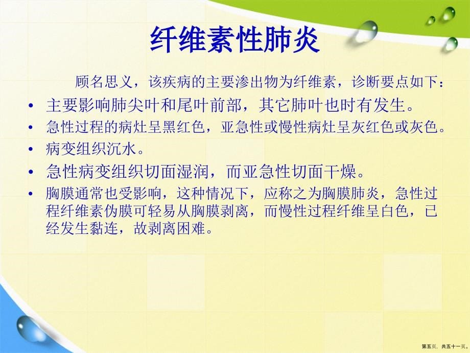 各种常见猪病解剖一讲课文档_第5页