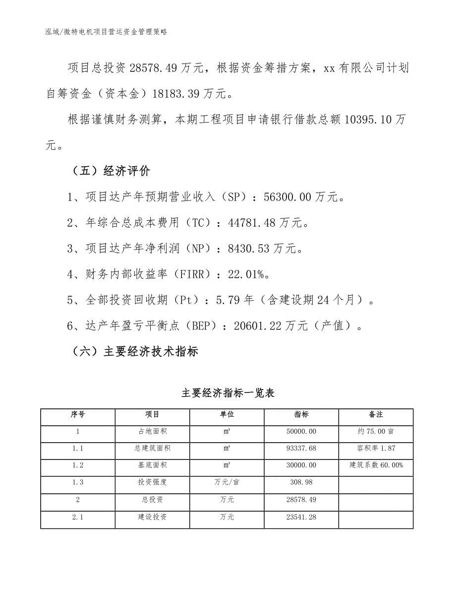 微特电机项目营运资金管理策略_第5页