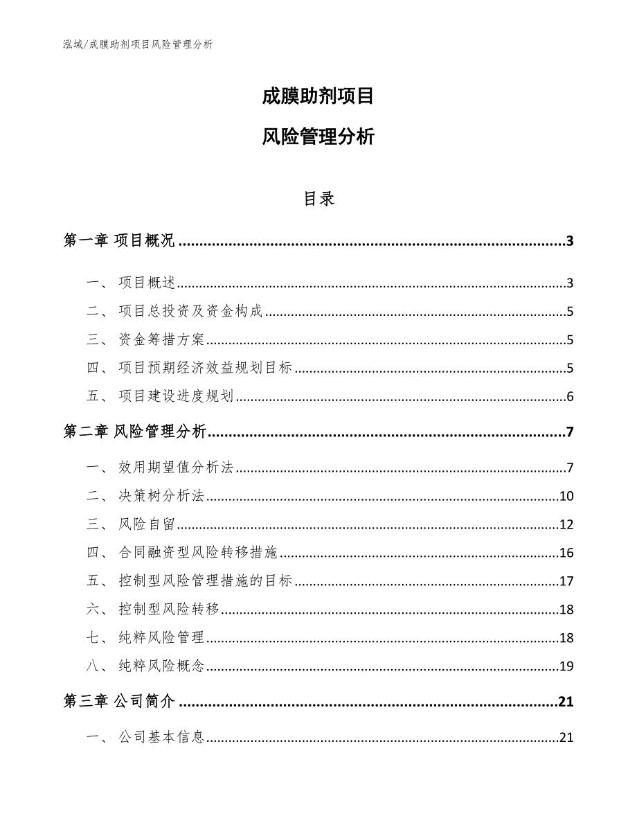 成膜助剂项目风险管理分析【范文】_第1页