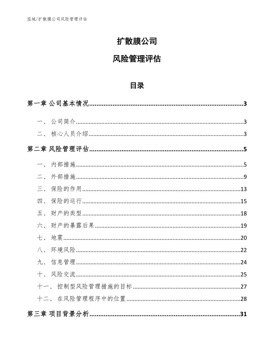 扩散膜公司风险管理评估（范文）_第1页