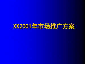 某减肥胶囊年度推广方案