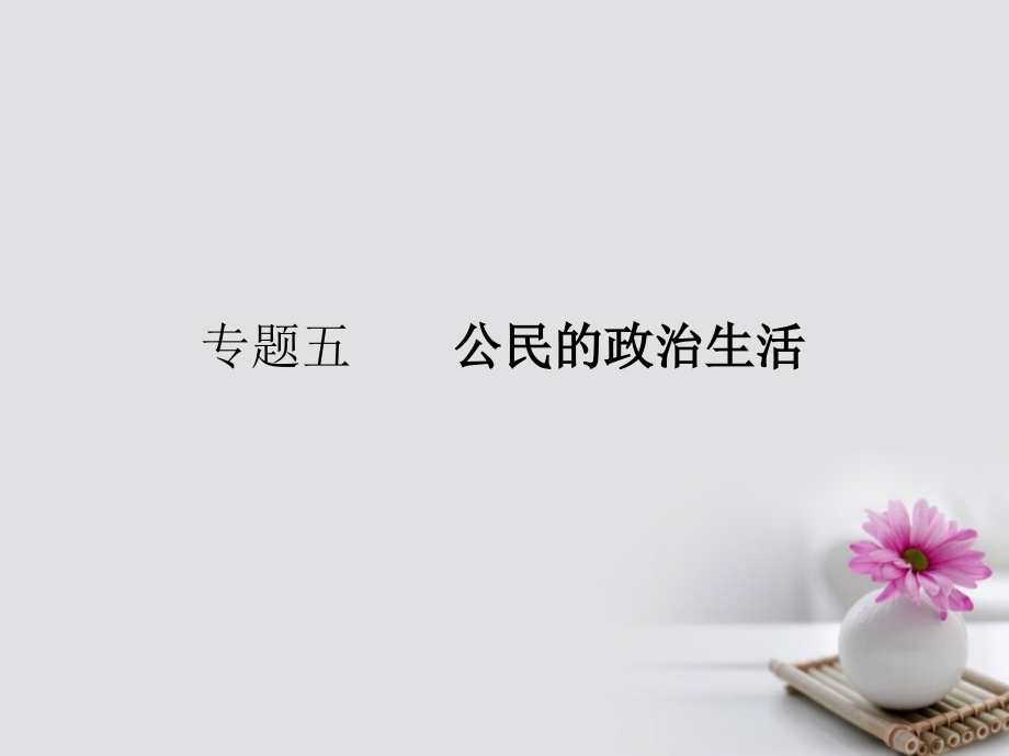 2018届高考政治一轮复习专题五公民的政治生活课件_第1页