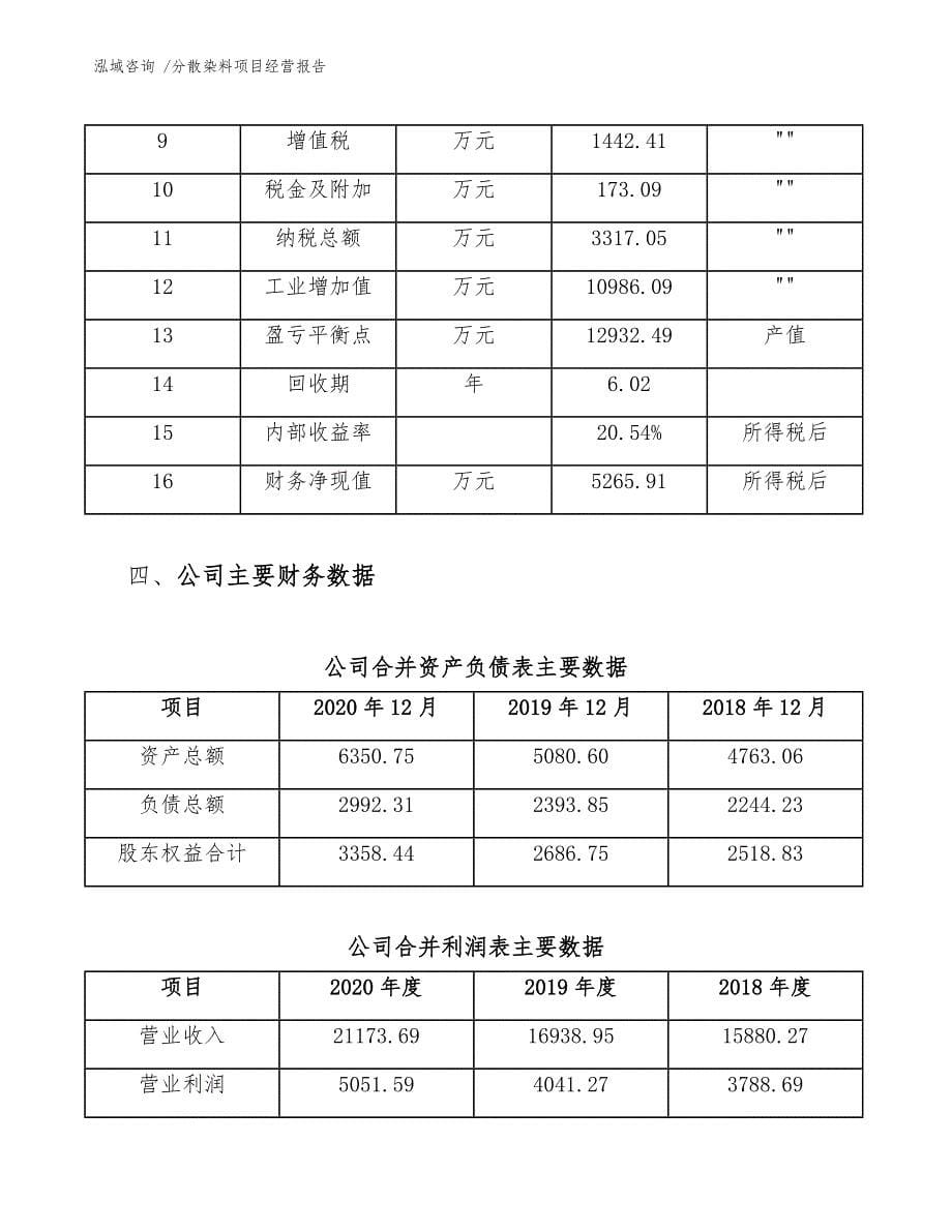 分散染料项目经营报告【模板范文】_第5页