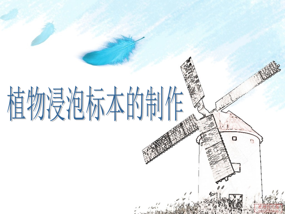 植物浸泡标本的制作ppt课件_第1页
