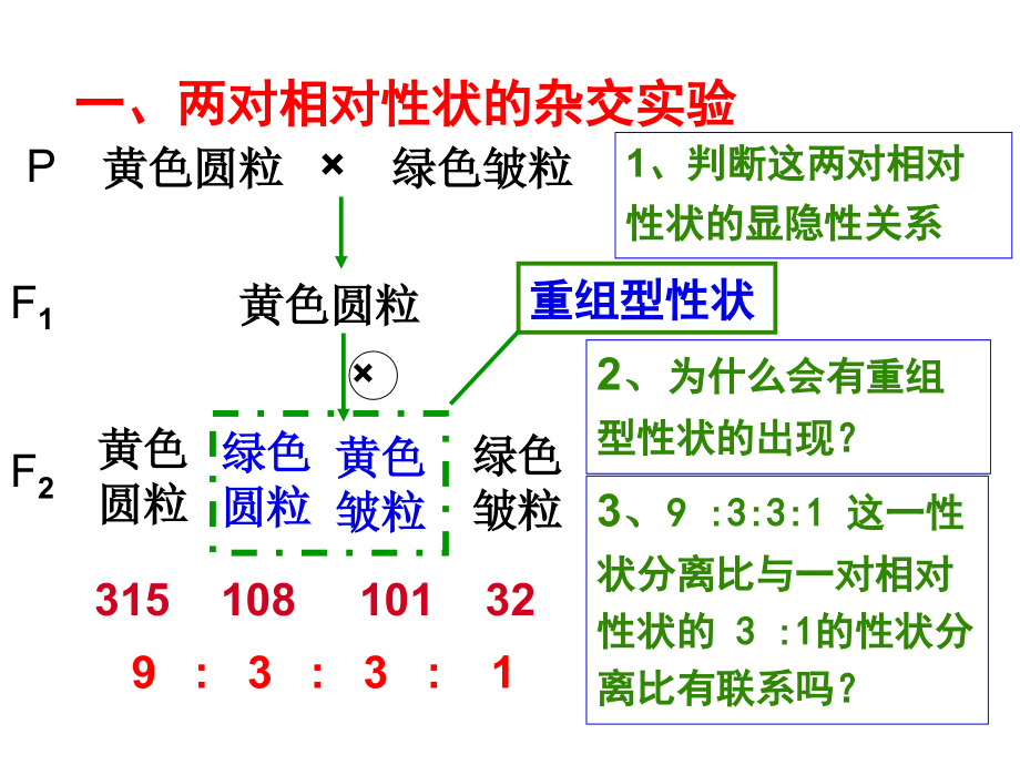 自由组合定律一轮复习课件ppt_第3页