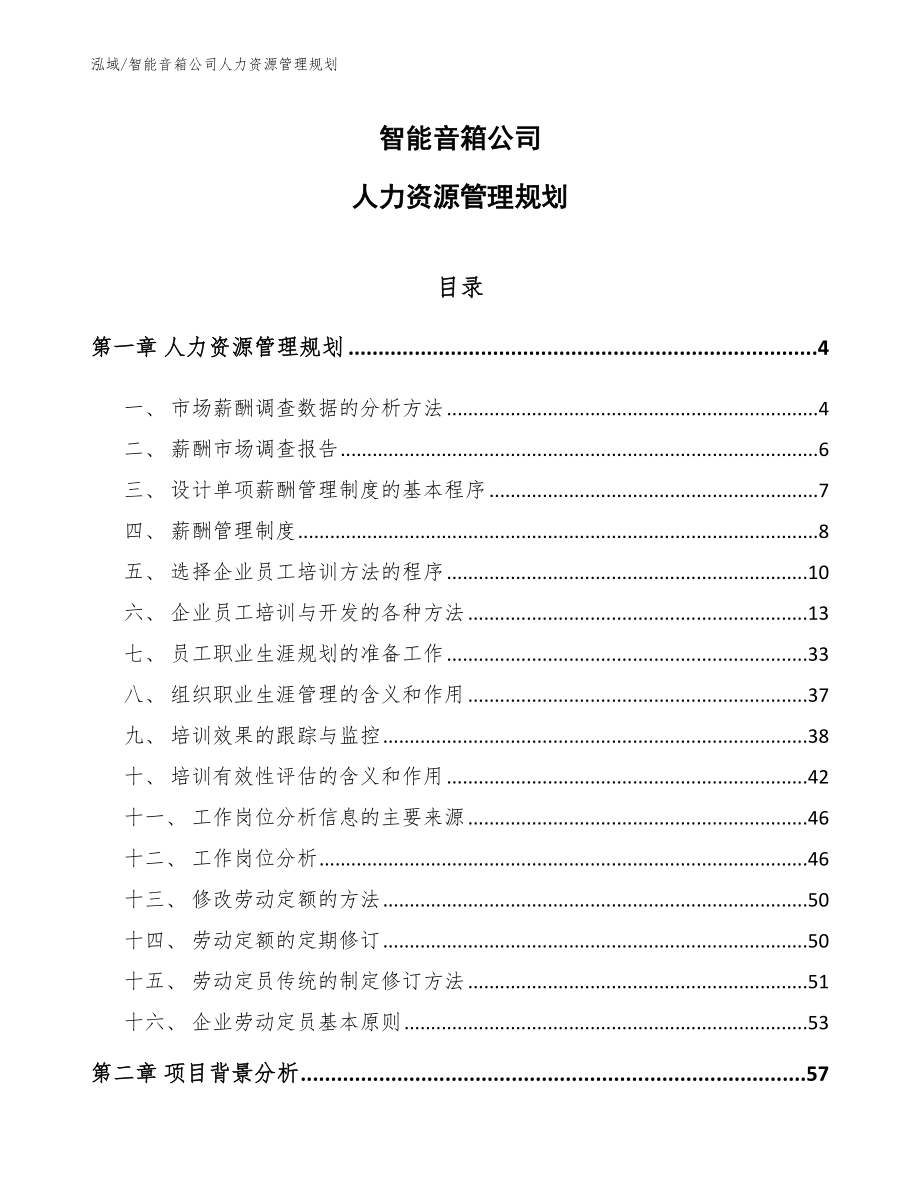 智能音箱公司人力资源管理规划_参考_第1页