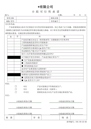 ENG-FM-20-B0小组可行性承诺