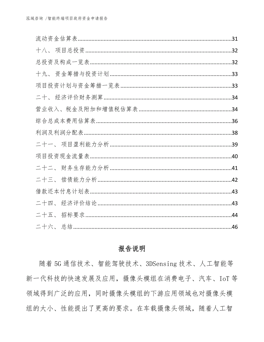 智能终端项目政府资金申请报告-模板_第3页