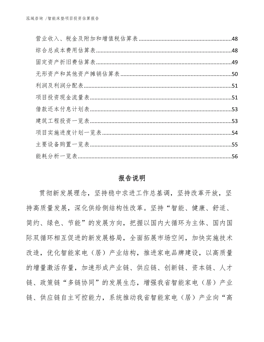 智能床垫项目投资估算报告-（参考模板）_第3页