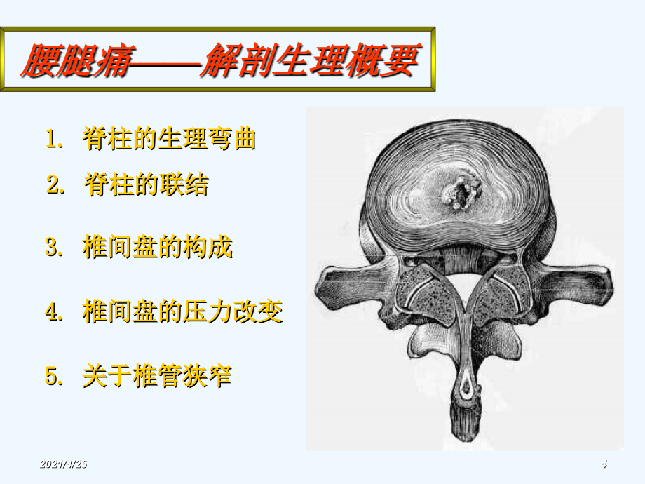 腰腿痛医学课件_第4页