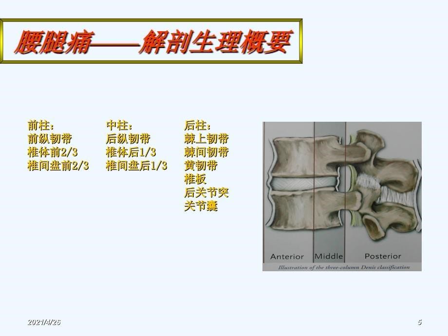 腰腿痛医学课件_第5页