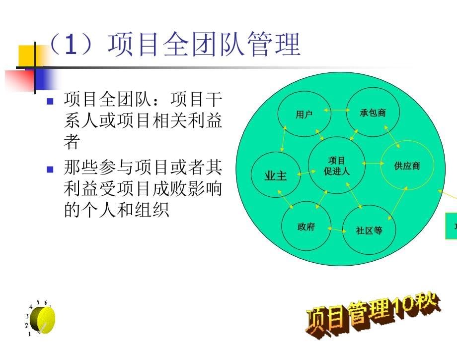 组织与项目经理终结版_第5页