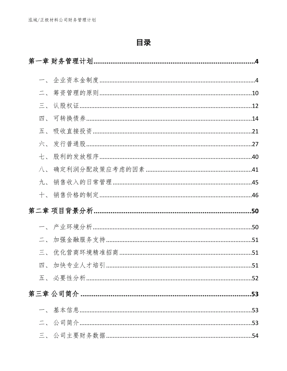 正极材料公司财务管理计划【参考】_第2页