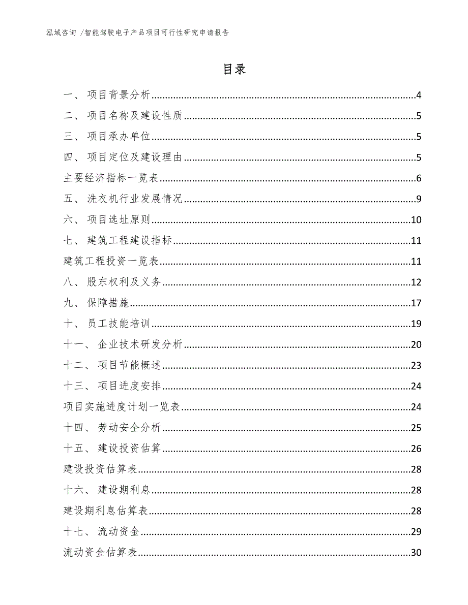 智能驾驶电子产品项目可行性研究申请报告_第1页