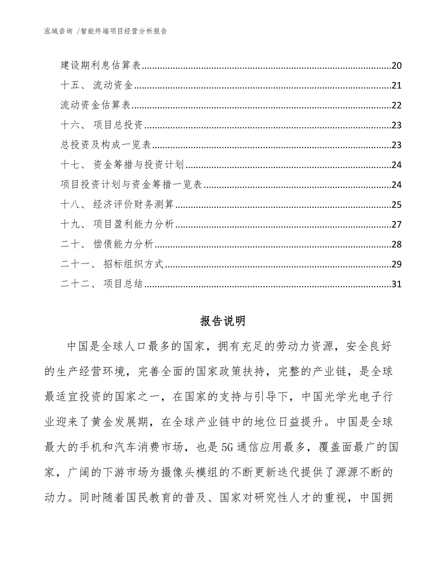 智能终端项目经营分析报告-参考范文_第2页