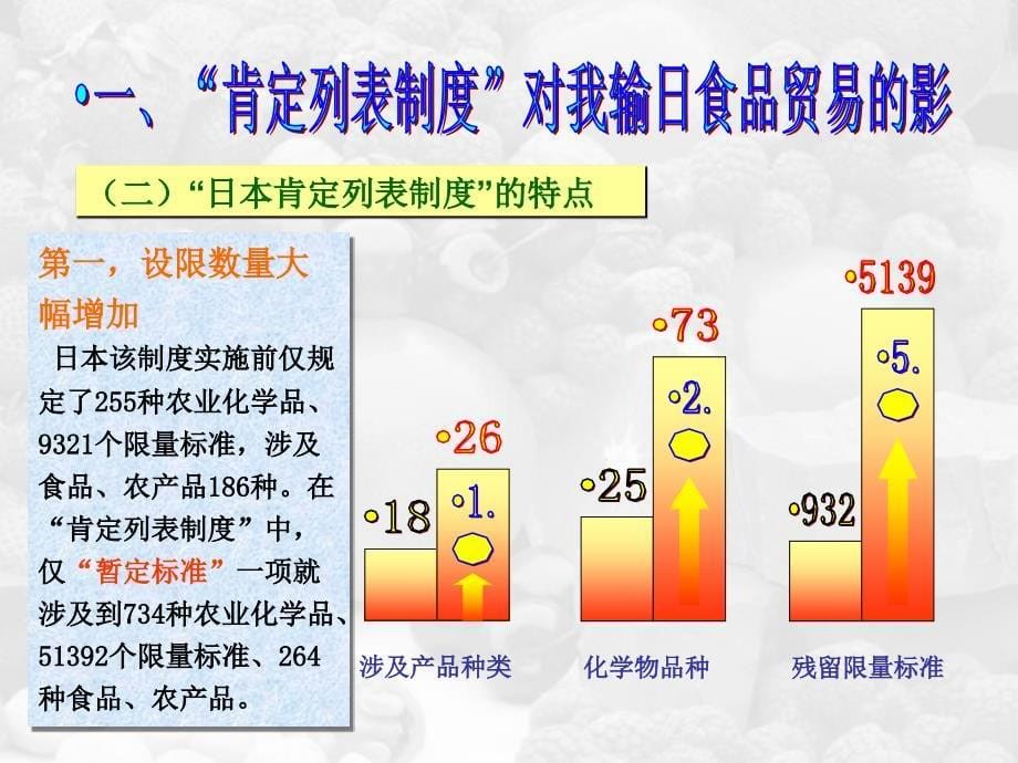 积极应对日本肯定列表制度_第5页