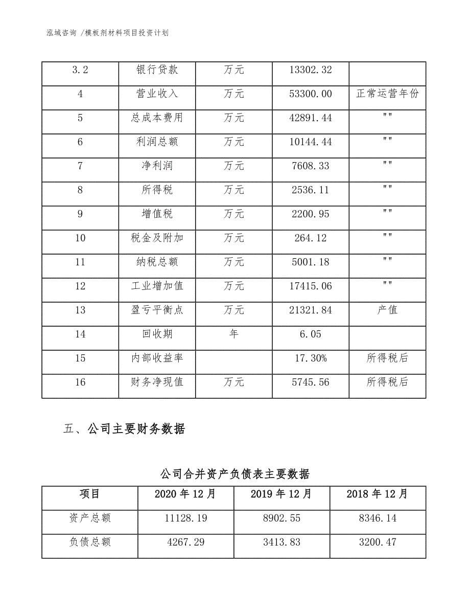 模板剂材料项目投资计划-参考模板_第5页