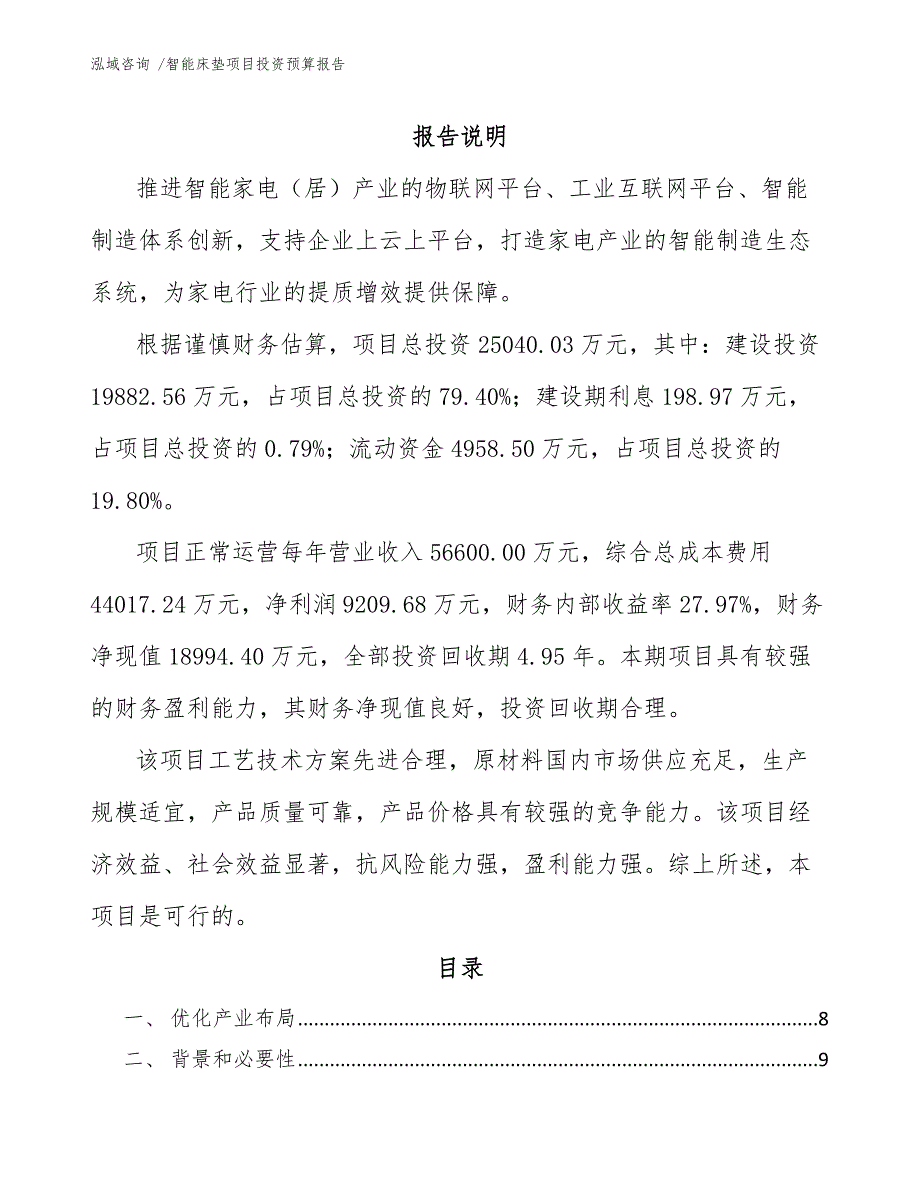 智能床垫项目投资预算报告模板_第2页