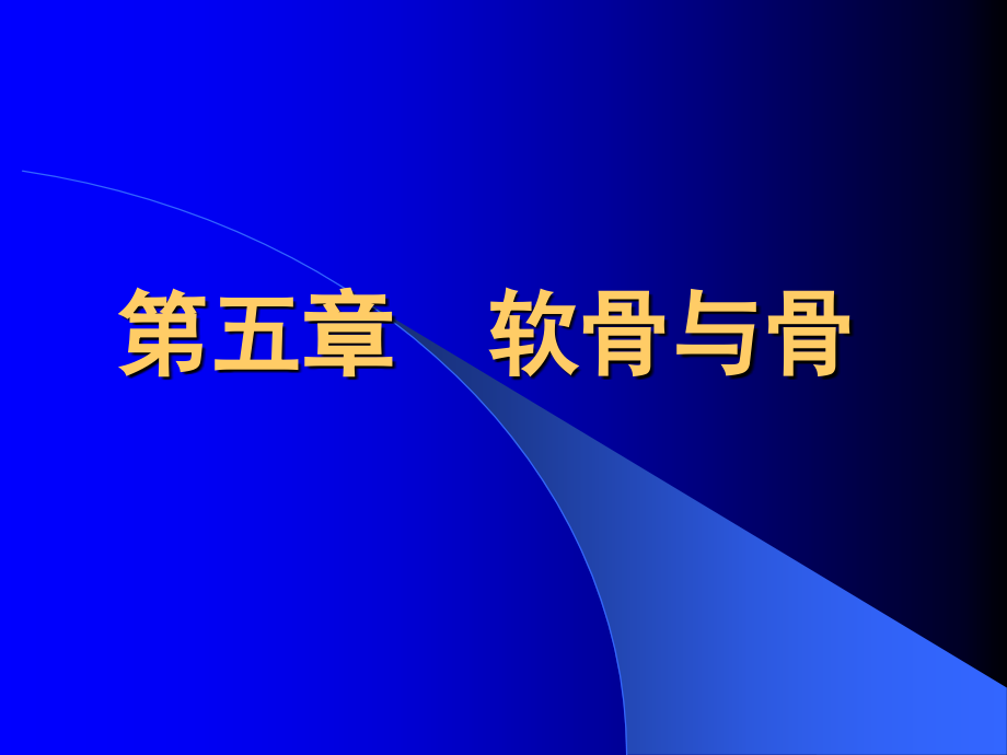 组织胚胎学课件-第五章软骨与骨_第2页