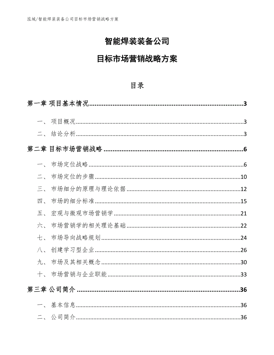 智能焊装装备公司目标场营销战略_范文_第1页