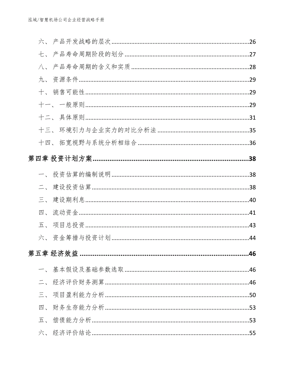 智慧机场公司企业经营战略手册【范文】_第2页