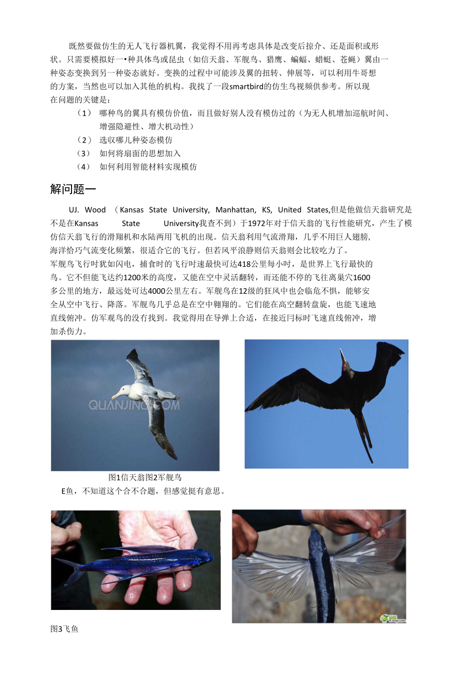 钱成仿生翼分析_第1页