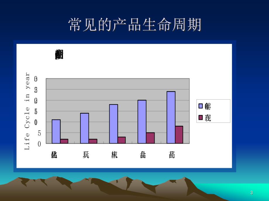 项目管理展望_第3页