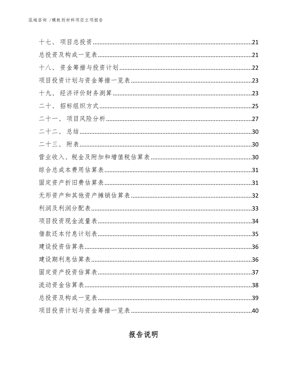 模板剂材料项目立项报告_第2页