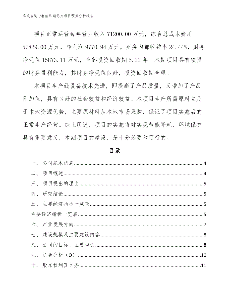 智能终端芯片项目预算分析报告-范文参考_第2页