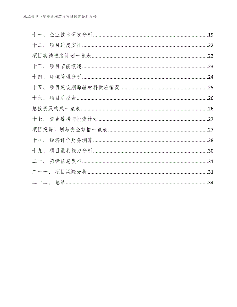 智能终端芯片项目预算分析报告-范文参考_第3页