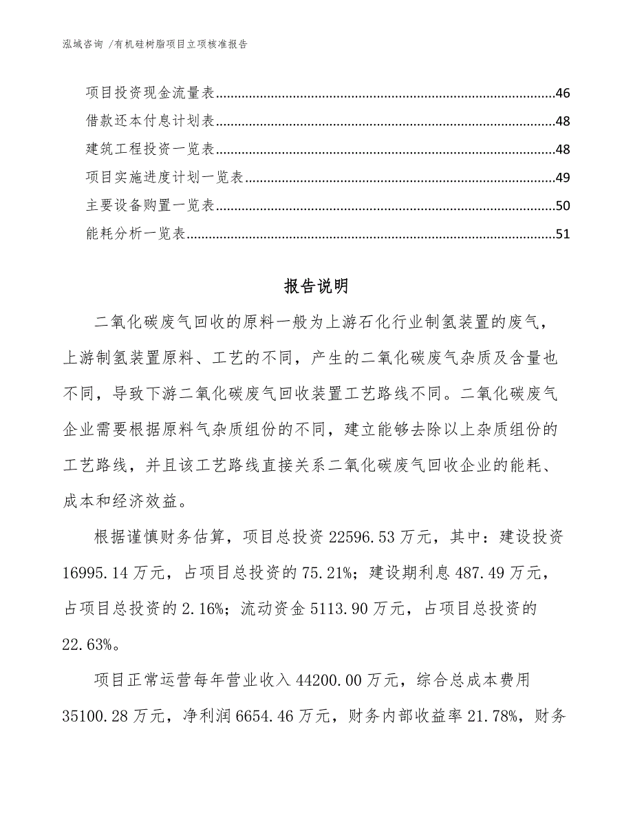 有机硅树脂项目立项核准报告【模板参考】_第3页