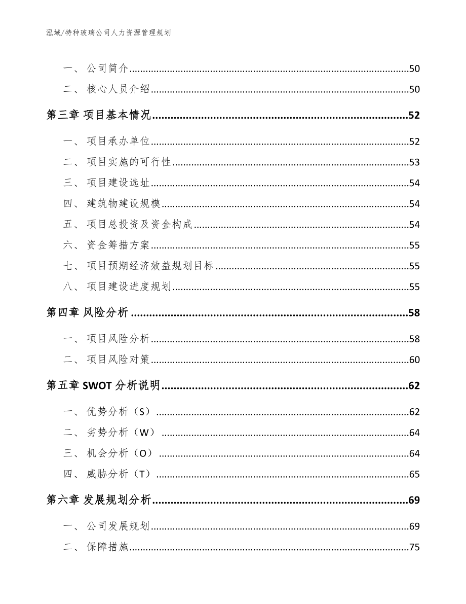 特种玻璃公司人力资源管理规划（范文）_第2页