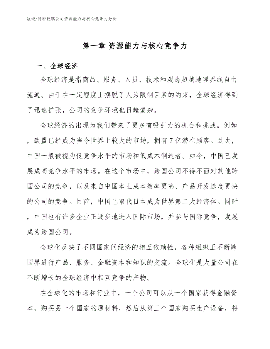 特种玻璃公司资源能力与核心竞争力分析（参考）_第3页