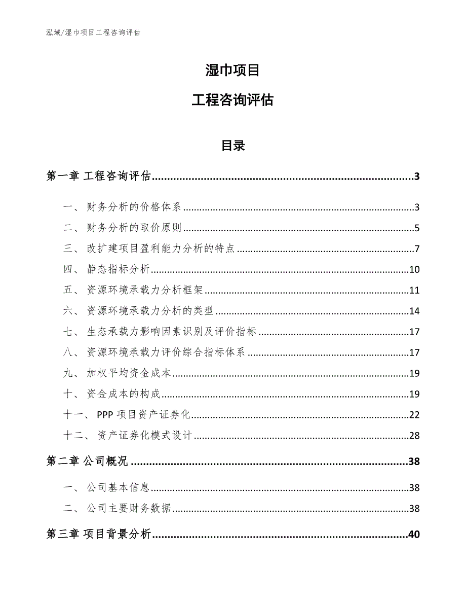 湿巾项目工程咨询评估【参考】_第1页