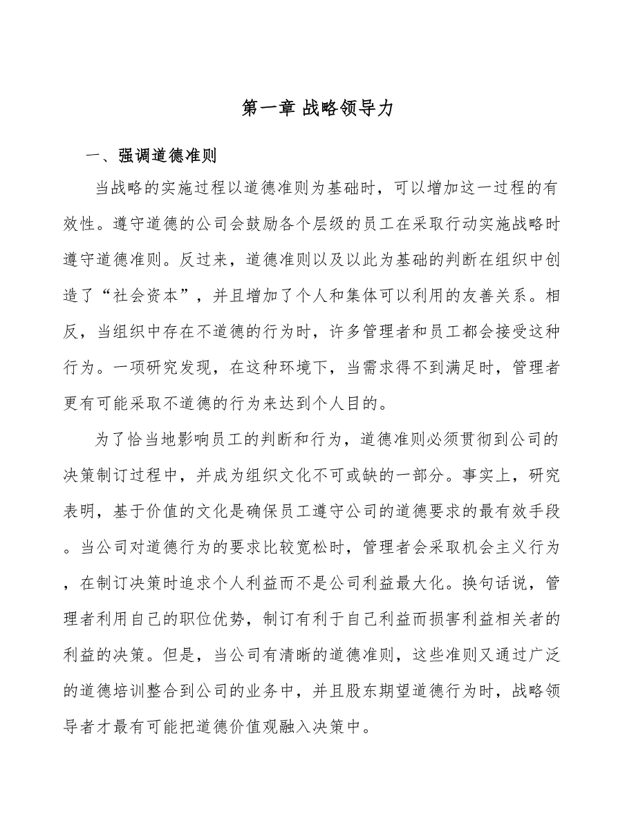 清洗、清理设备公司战略领导力_第3页