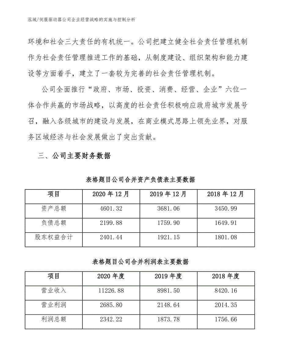 伺服驱动器公司企业经营战略的实施与控制分析（范文）_第5页