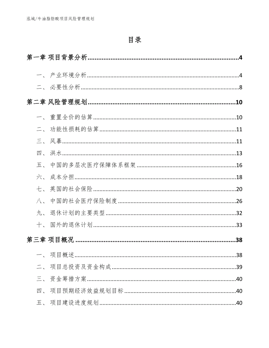 牛油脂肪酸项目风险管理规划_参考_第2页