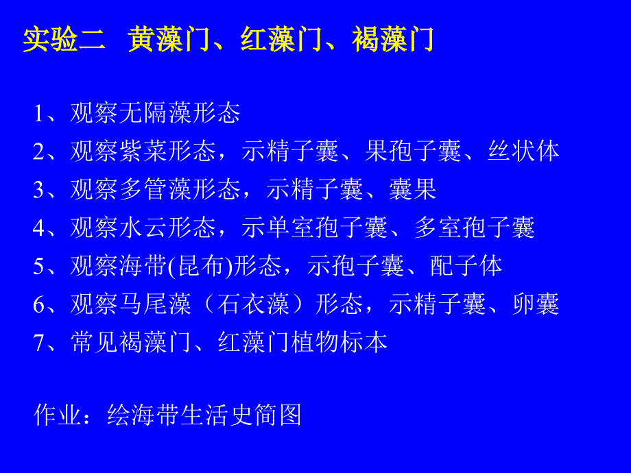 《实验二藻类植物》PPT课件_第1页