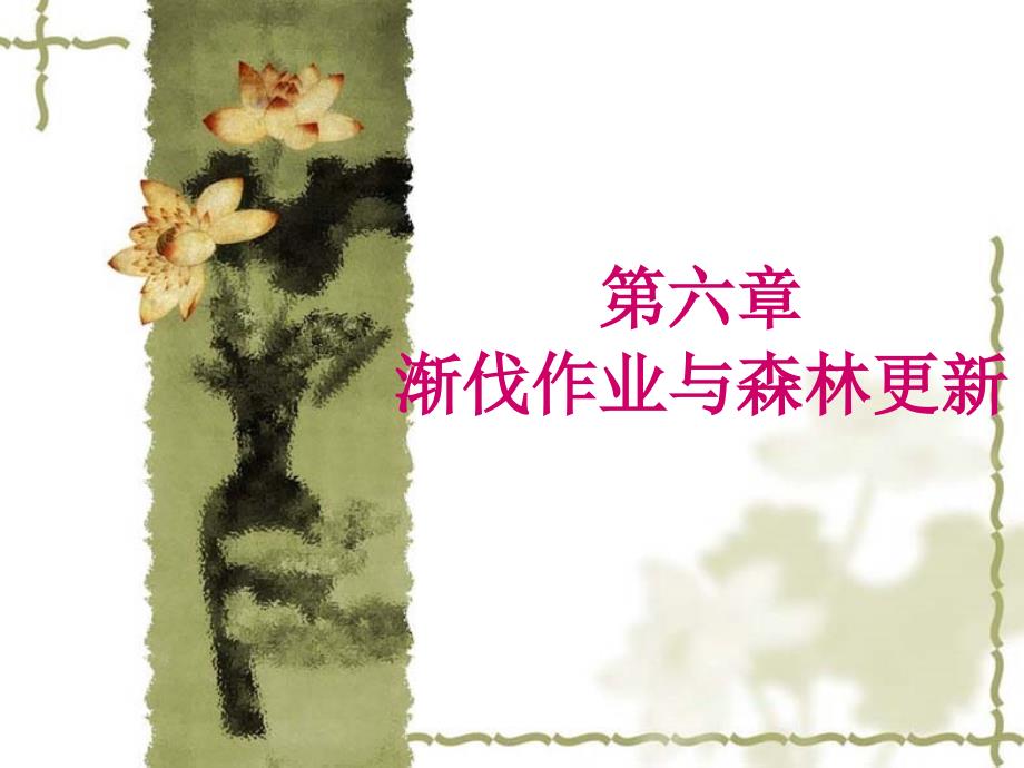 《渐伐作业与森林更》PPT课件_第1页