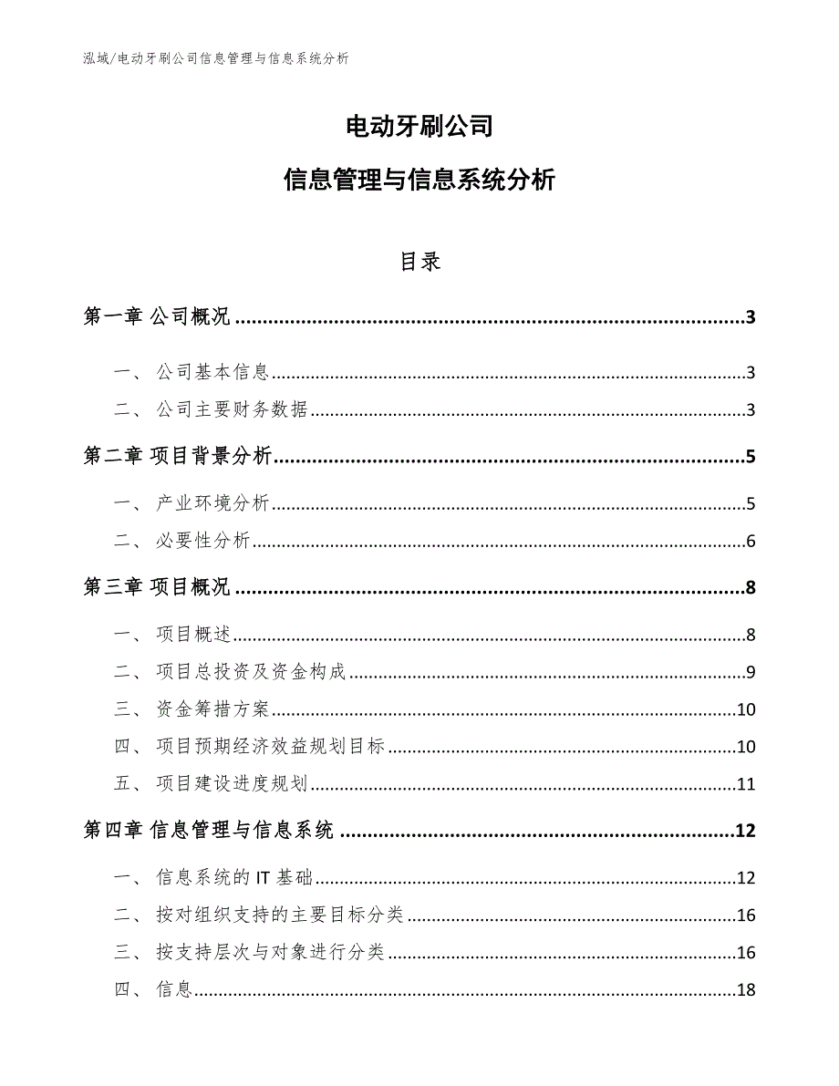 电动牙刷公司信息管理与信息系统分析_第1页