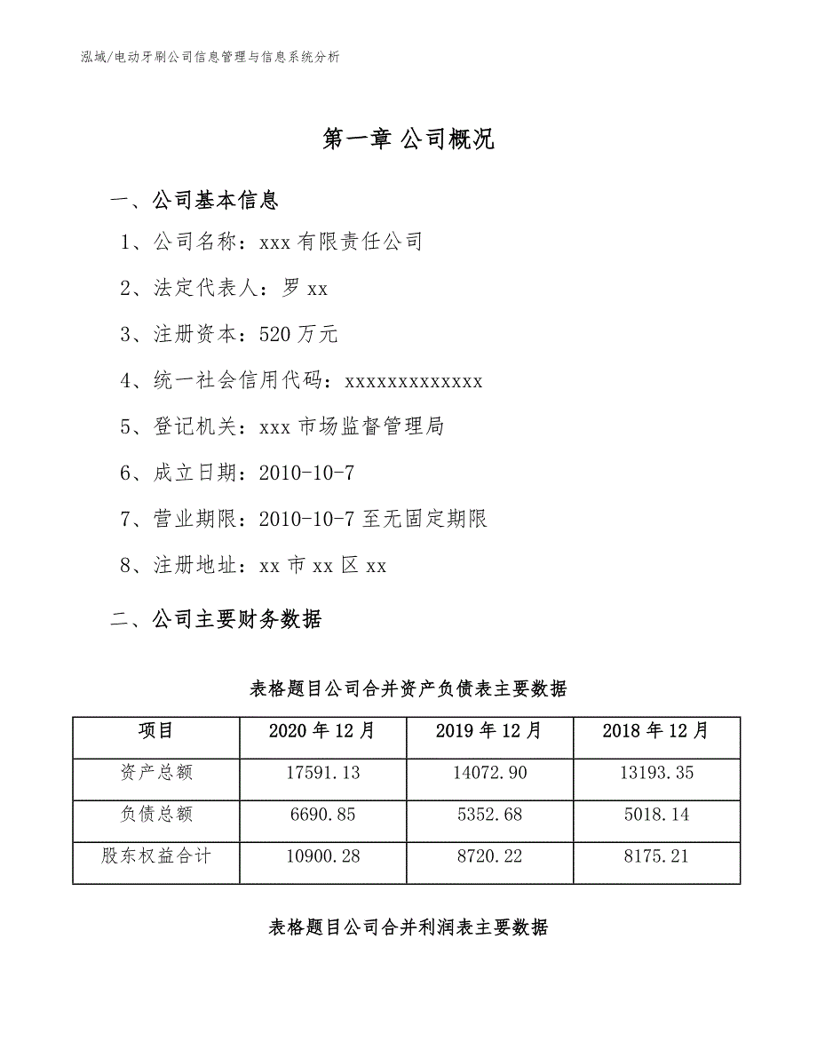 电动牙刷公司信息管理与信息系统分析_第3页