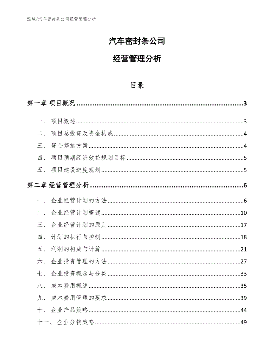 汽车密封条公司经营管理分析（参考）_第1页