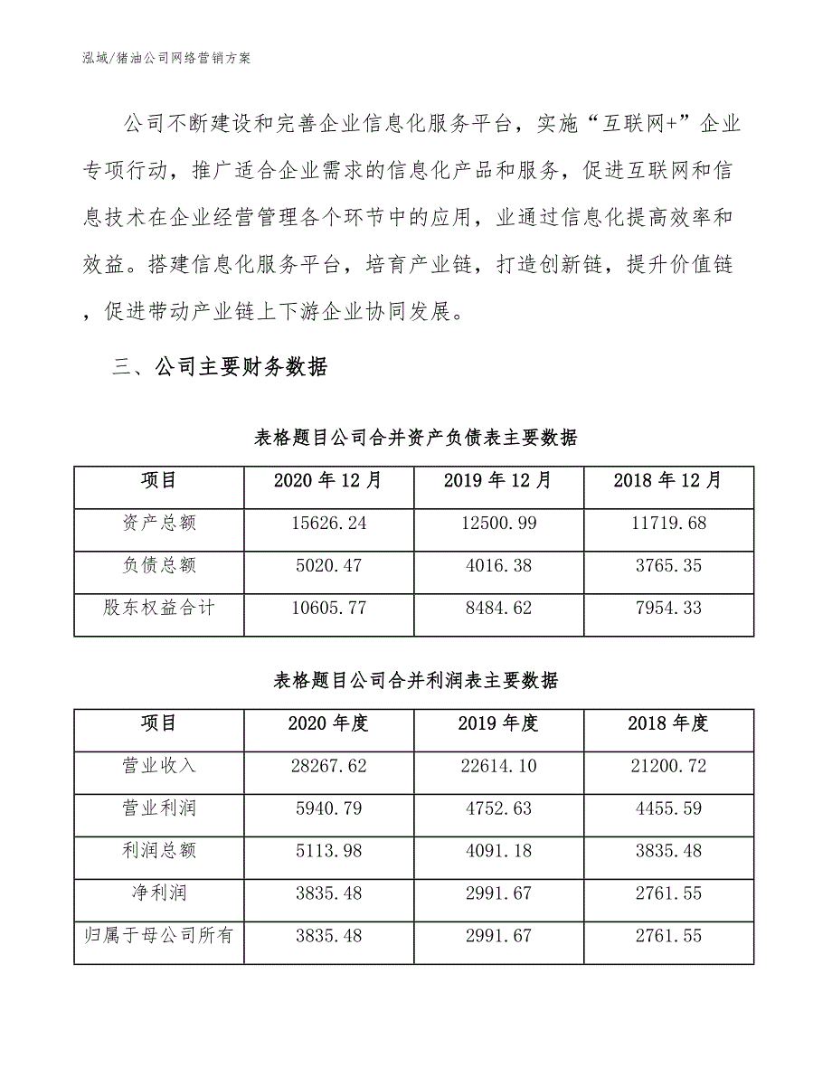 猪油公司网络营销方案_第4页