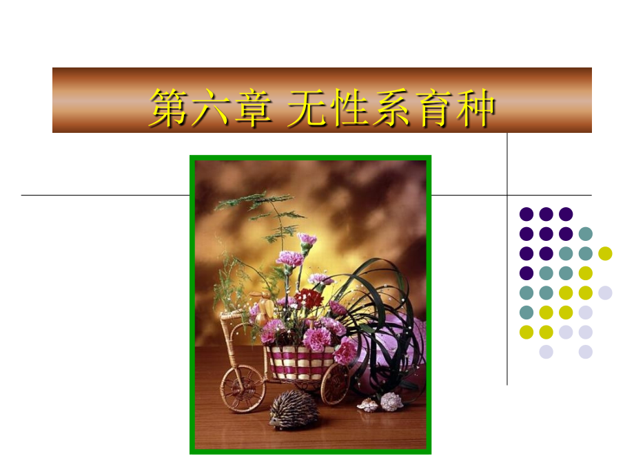 《无性系育种》PPT课件_第1页