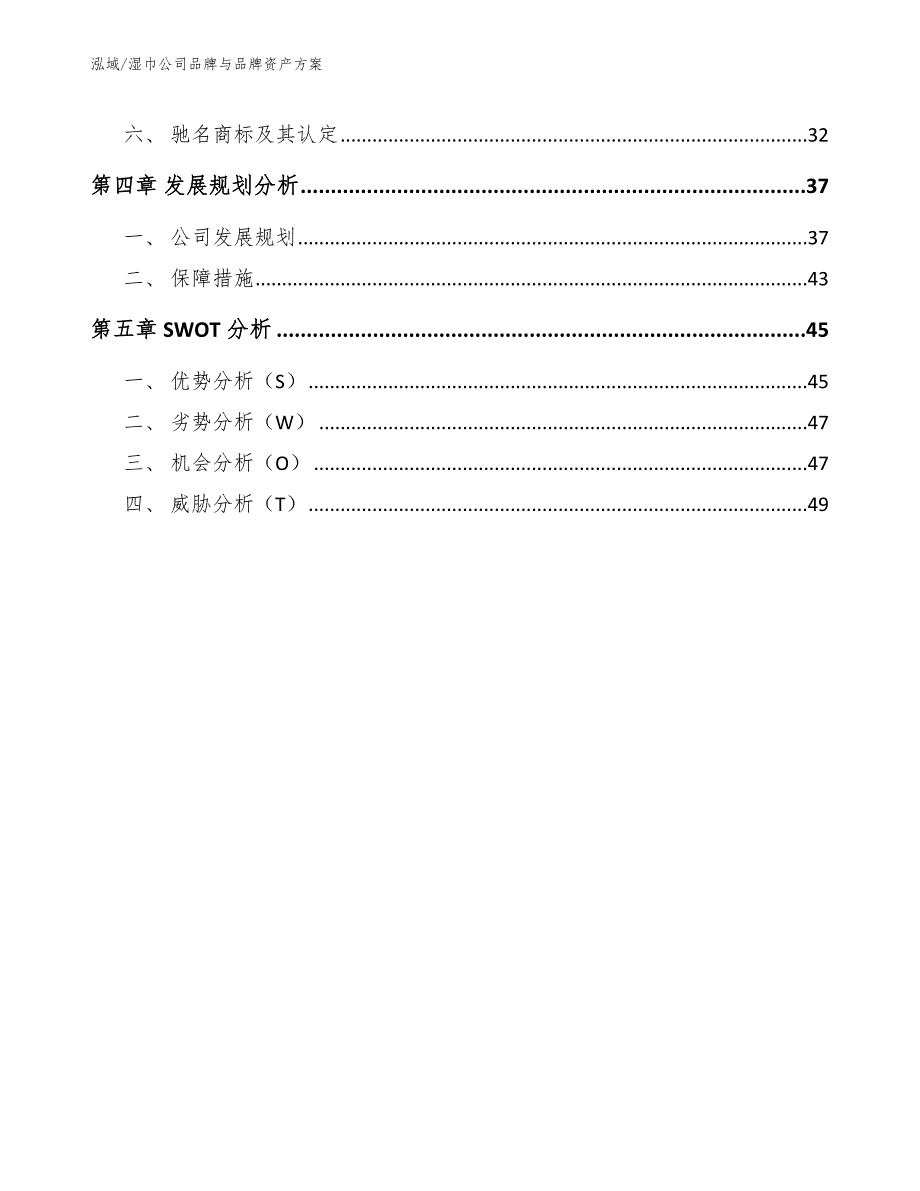 湿巾公司品牌与品牌资产方案_第2页