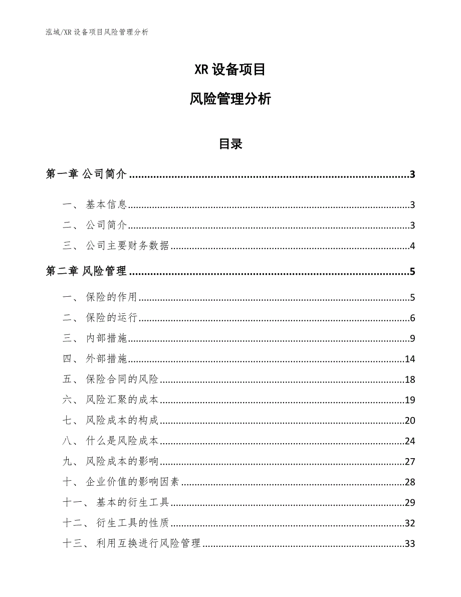 XR设备项目风险管理分析（参考）_第1页