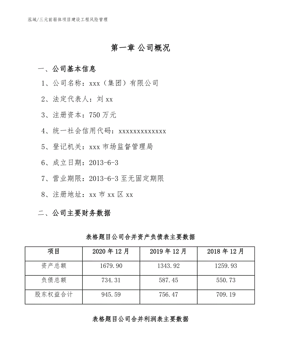 三元前驱体项目建设工程风险管理【范文】_第4页