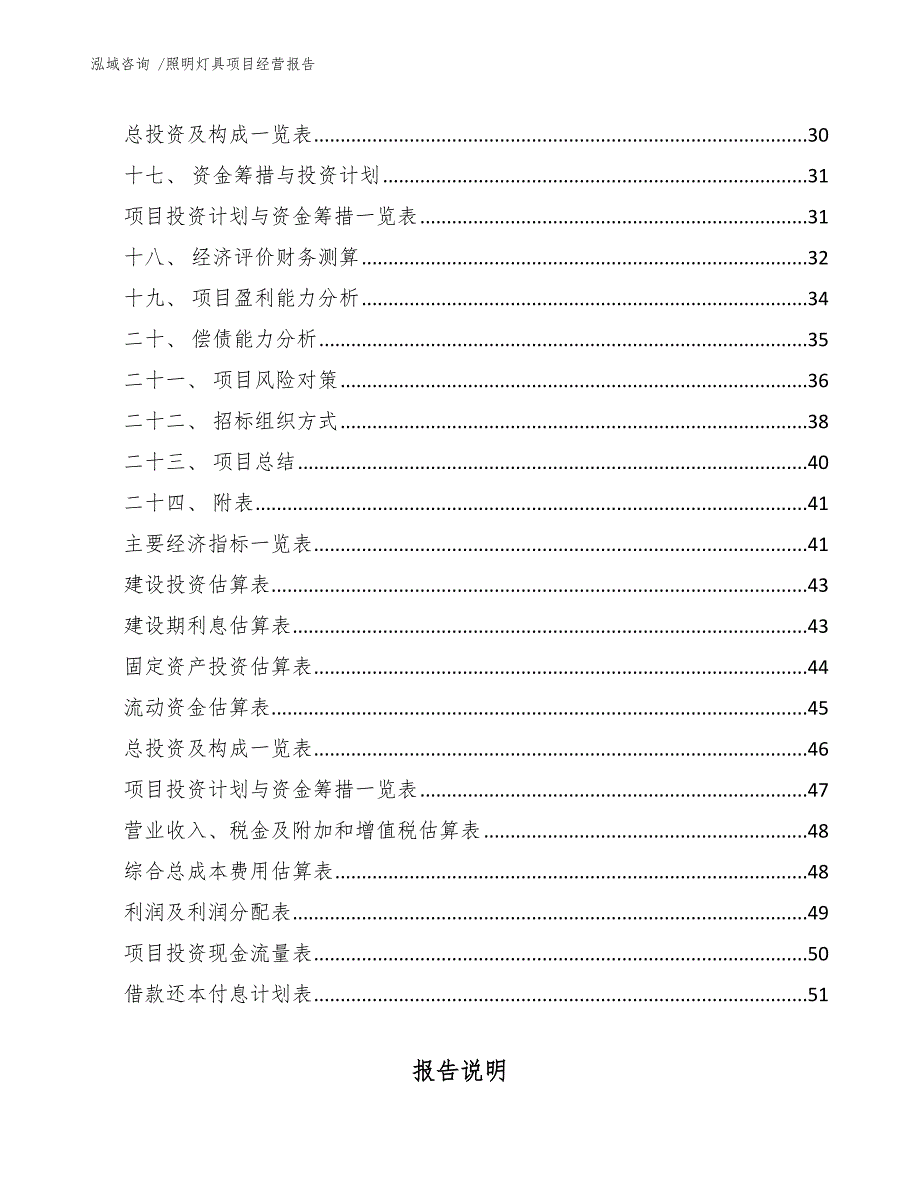 照明灯具项目经营报告_参考范文_第2页