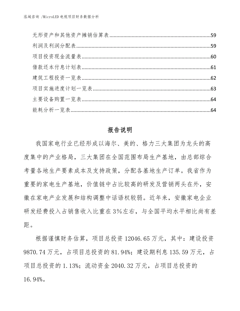 MicroLED电视项目财务数据分析-模板参考_第3页